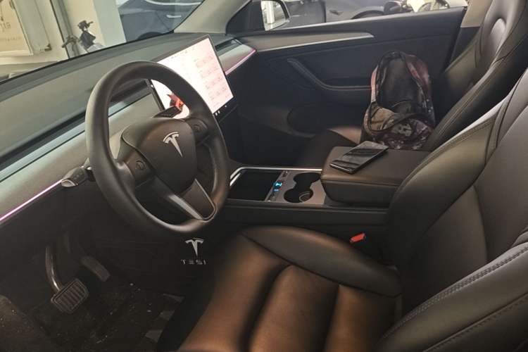 Used Tesla Model Y 2024 Rear-Wheel-Drive Version Left Front Seat