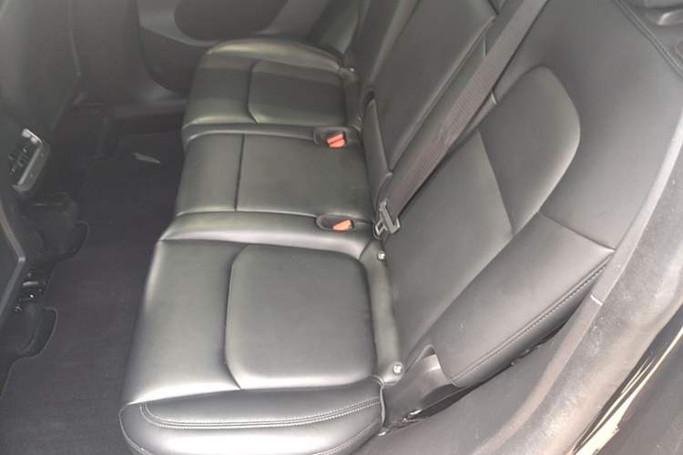 Used Tesla Model Y 2024 Rear-Wheel-Drive Version Left Rear Seat