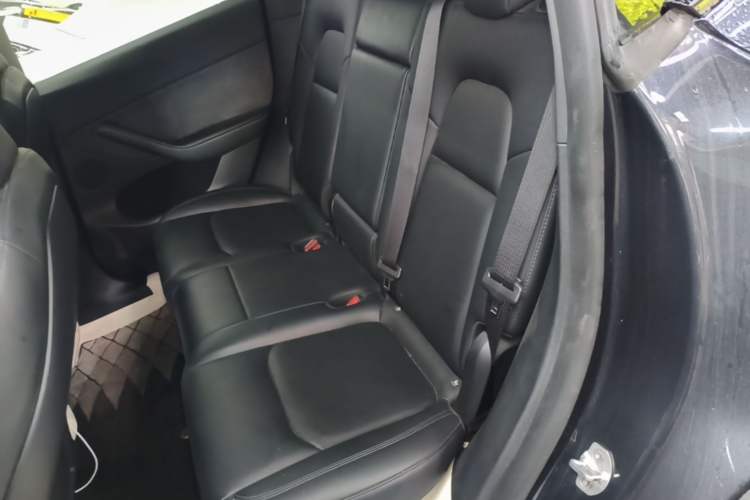 Used Tesla Model Y 2024 Rear-Wheel-Drive Version Left Rear Seat