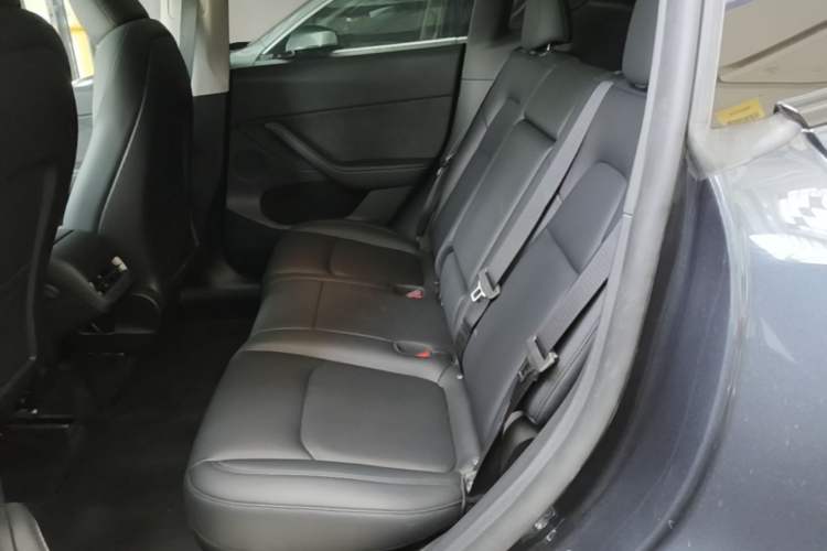 Used Tesla Model Y 2024 Rear-Wheel-Drive Version Left Rear Seat