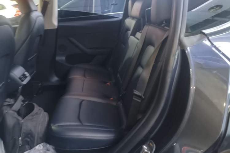 Used Tesla Model Y 2024 Rear-Wheel-Drive Version Left Rear Seat