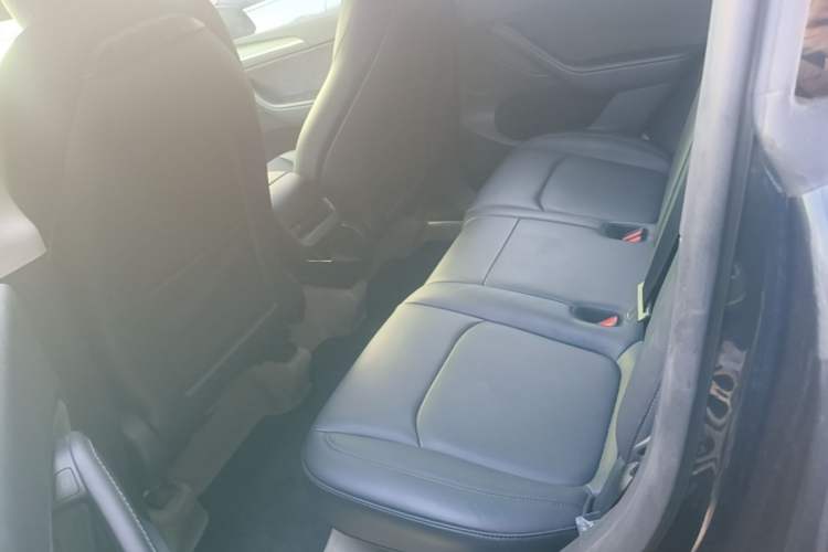 Used Tesla Model Y 2024 Long-Range All-Wheel-Drive Version Left Rear Seat
