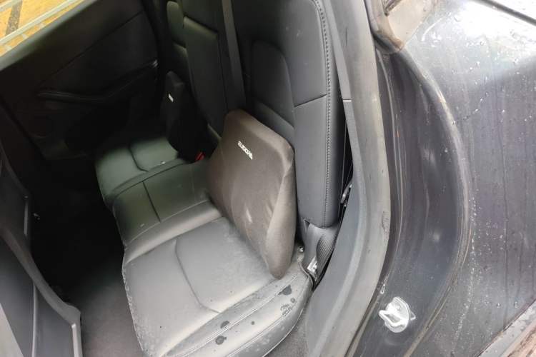 Used Tesla Model Y 2024 Rear-Wheel-Drive Version Left Rear Seat