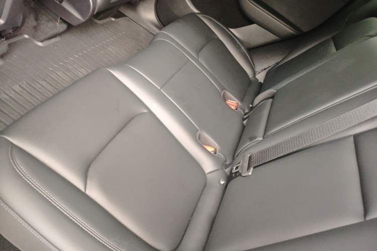 Used Tesla Model Y 2024 Rear-Wheel-Drive Version Left Rear Seat