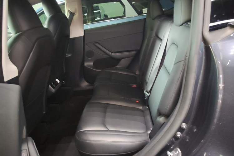 Used Tesla Model Y 2024 Rear-Wheel-Drive Version Left Rear Seat