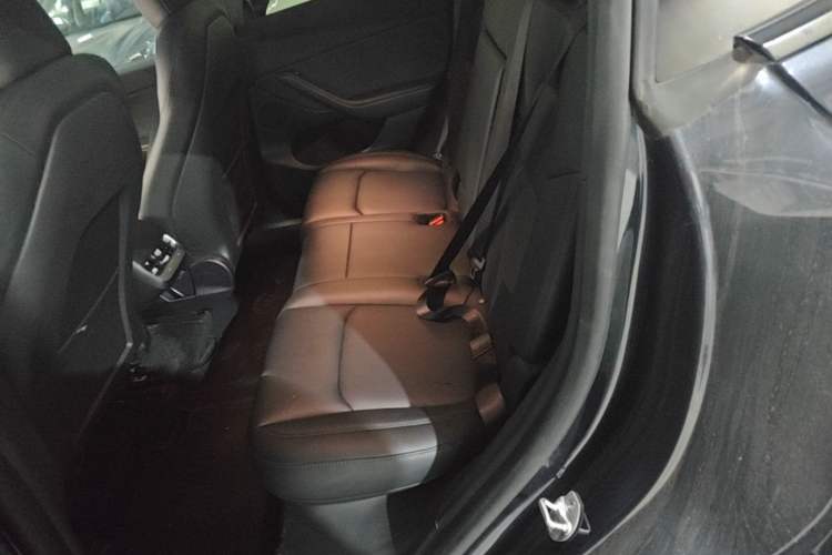 Used Tesla Model Y 2024 Rear-Wheel-Drive Version Left Rear Seat
