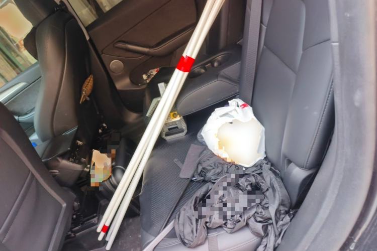 Used Tesla Model Y 2024 Rear-Wheel-Drive Version Left Rear Seat