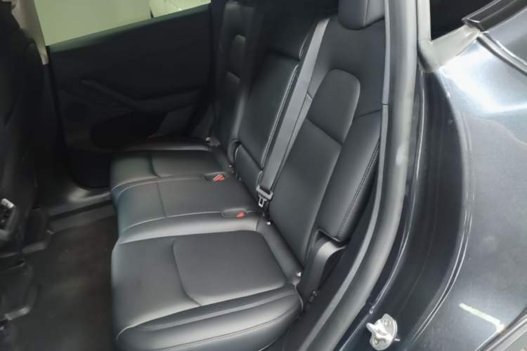 Used Tesla Model Y 2024 Long-Range All-Wheel-Drive Version Left Rear Seat