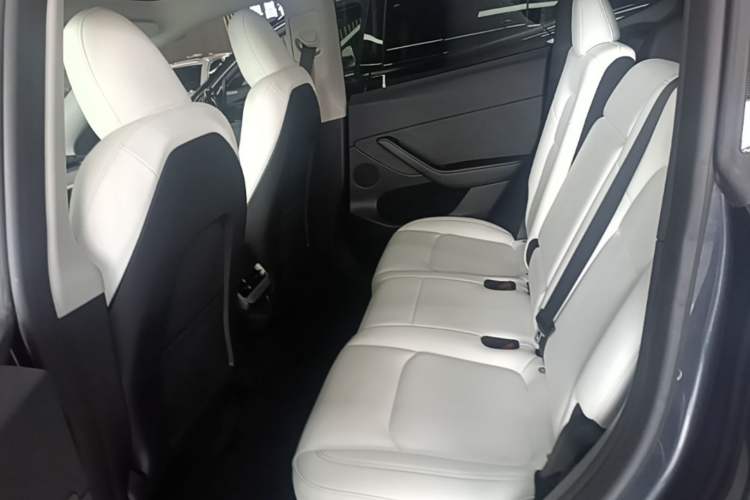 Used Tesla Model Y 2024 Rear-Wheel-Drive Version Left Rear Seat