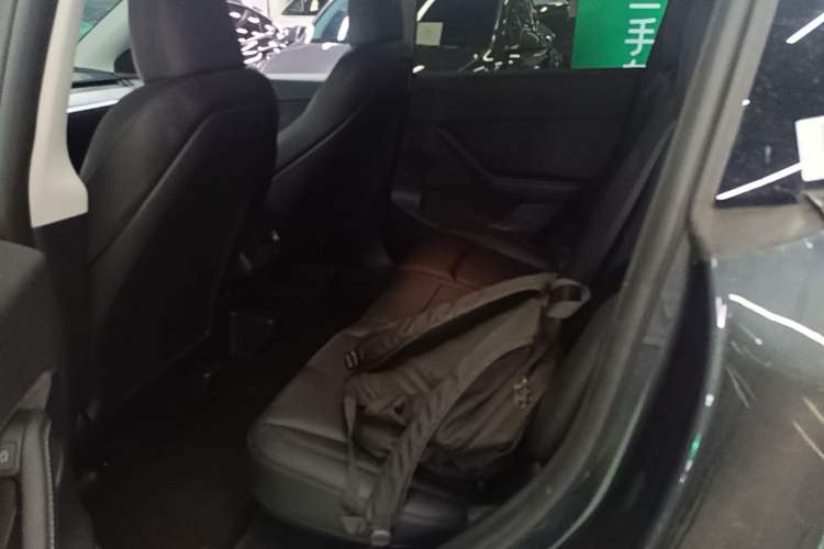 Used Tesla Model Y 2024 Rear-Wheel-Drive Version Left Rear Seat