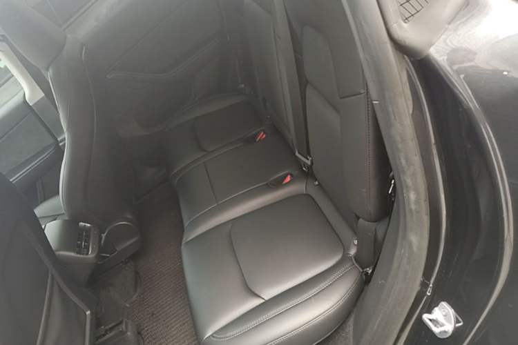 Used Tesla Model Y 2024 Rear-Wheel-Drive Version Left Rear Seat