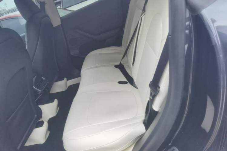 Used Tesla Model Y 2024 Rear-Wheel-Drive Version Left Rear Seat