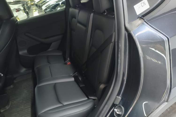Used Tesla Model Y 2024 Rear-Wheel-Drive Version Left Rear Seat