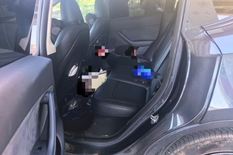 Used Tesla Model Y 2024 Rear-Wheel-Drive Version Left Rear Seat