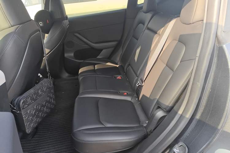 Used Tesla Model Y 2024 Rear-Wheel-Drive Version Left Rear Seat