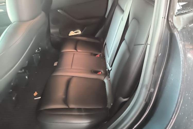 Used Tesla Model Y 2024 Rear-Wheel-Drive Version Left Rear Seat