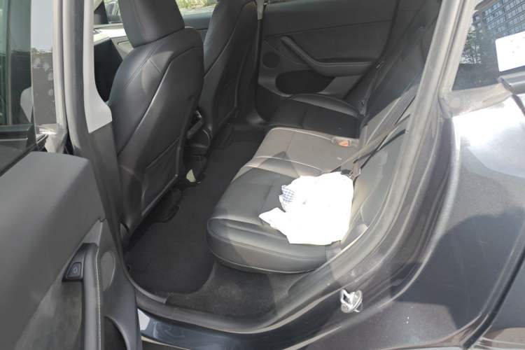 Used Tesla Model Y 2024 Rear-Wheel-Drive Version Left Rear Seat