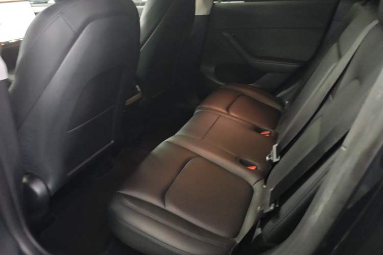 Used Tesla Model Y 2024 Rear-Wheel-Drive Version Left Rear Seat