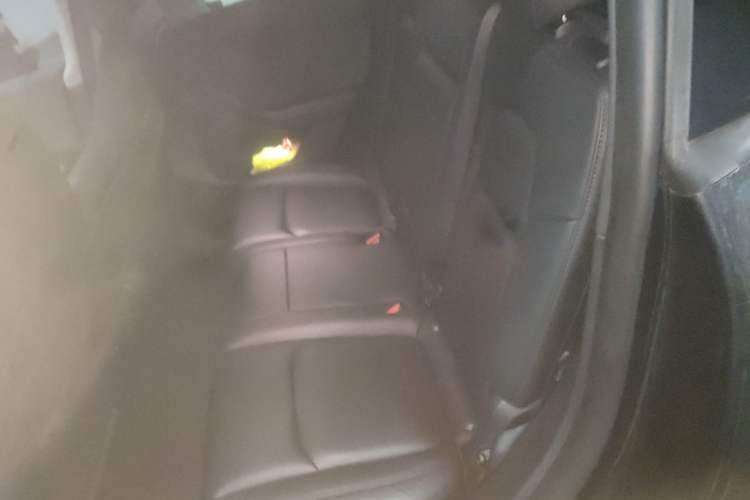 Used Tesla Model Y 2024 Rear-Wheel-Drive Version Left Rear Seat