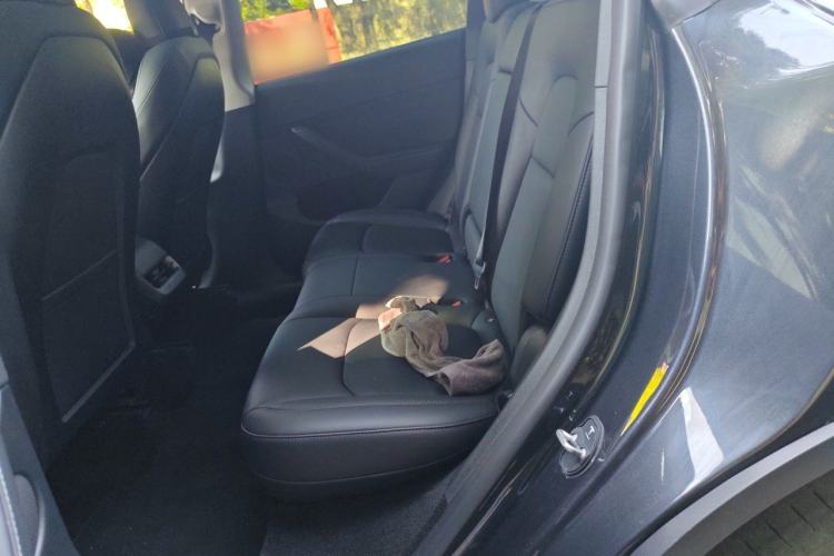 Used Tesla Model Y 2024 Rear-Wheel-Drive Version Left Rear Seat