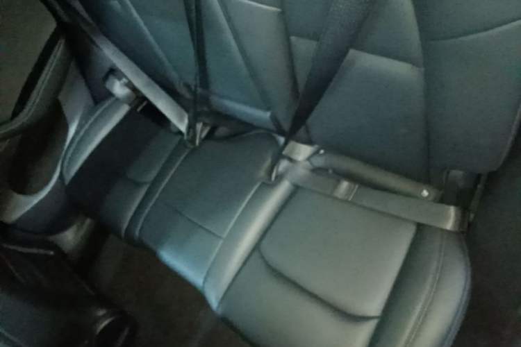 Used Tesla Model Y 2024 Rear-Wheel-Drive Version Left Rear Seat