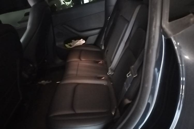 Used Tesla Model Y 2024 Rear-Wheel-Drive Version Left Rear Seat