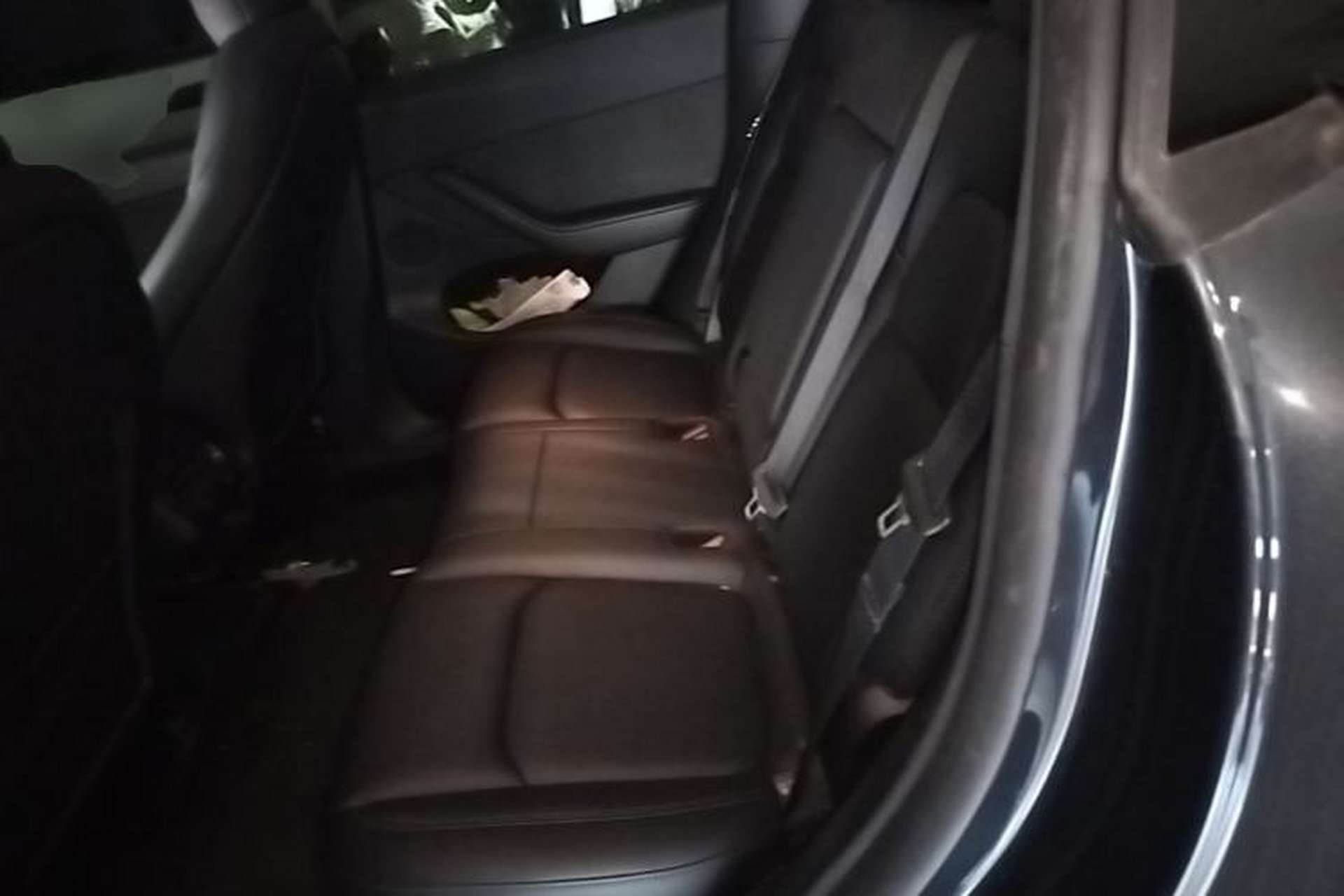 Used Tesla Model Y 2024 Rear-Wheel-Drive Version Left Rear Seat