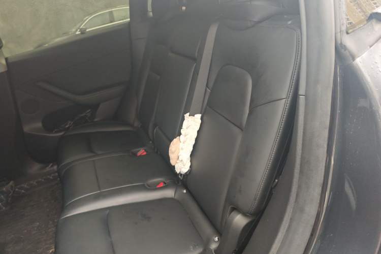 Used Tesla Model Y 2024 Long-Range All-Wheel-Drive Version Left Rear Seat
