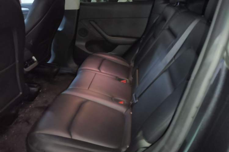 Used Tesla Model Y 2024 Rear-Wheel-Drive Version Left Rear Seat