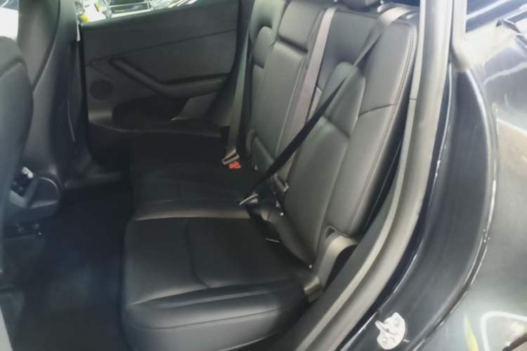 Used Tesla Model Y 2024 Rear-Wheel-Drive Version Left Rear Seat