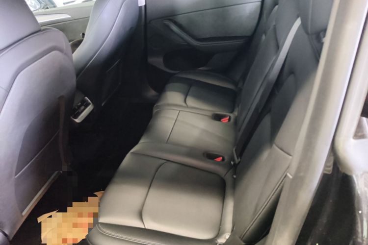 Used Tesla Model Y 2024 Rear-Wheel-Drive Version Left Rear Seat