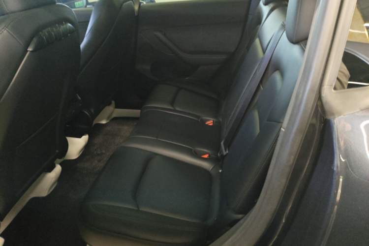 Used Tesla Model Y 2024 Rear-Wheel-Drive Version Left Rear Seat