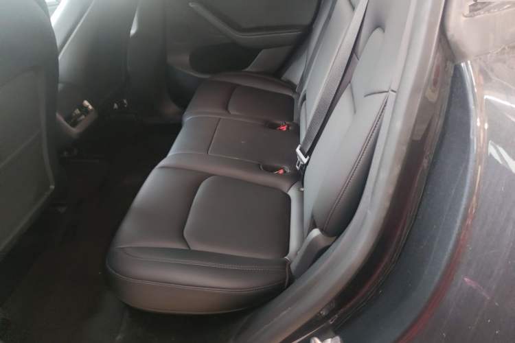 Used Tesla Model Y 2024 Rear-Wheel-Drive Version Left Rear Seat