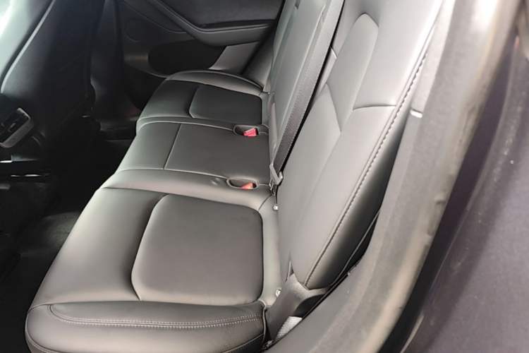Used Tesla Model Y 2024 Rear-Wheel-Drive Version Left Rear Seat