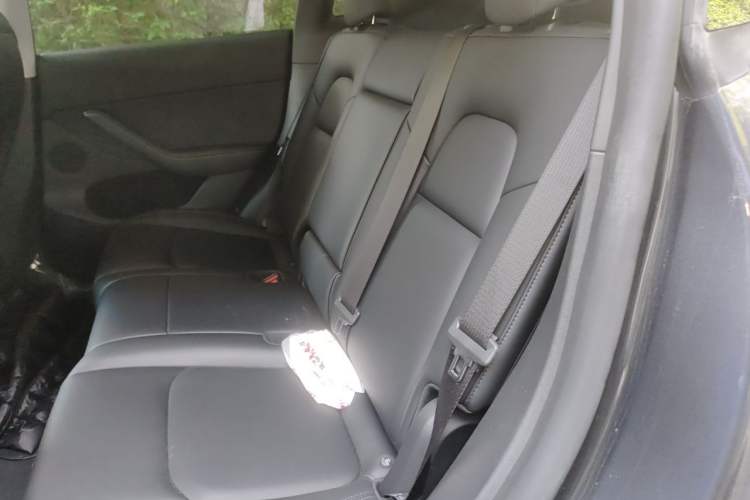 Used Tesla Model Y 2024 Rear-Wheel-Drive Version Left Rear Seat