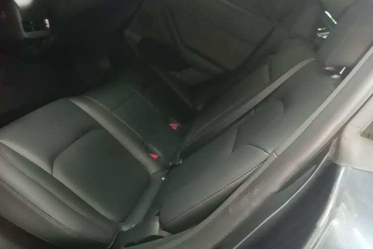Used Tesla Model Y 2024 Rear-Wheel-Drive Version Left Rear Seat
