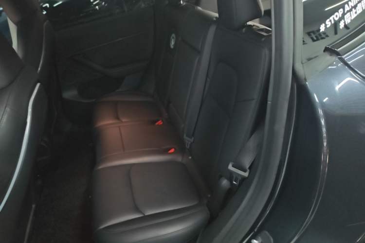 Used Tesla Model Y 2024 Rear-Wheel-Drive Version Left Rear Seat