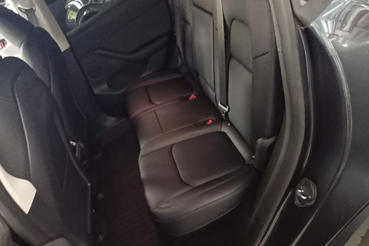 Used Tesla Model Y 2024 Rear-Wheel-Drive Version Left Rear Seat