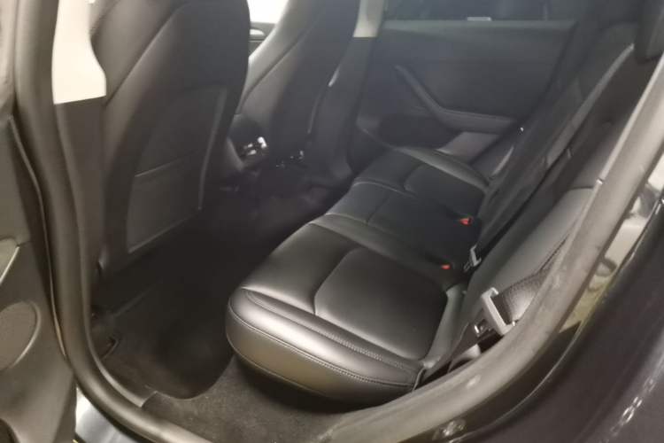 Used Tesla Model Y 2024 Rear-Wheel-Drive Version Left Rear Seat