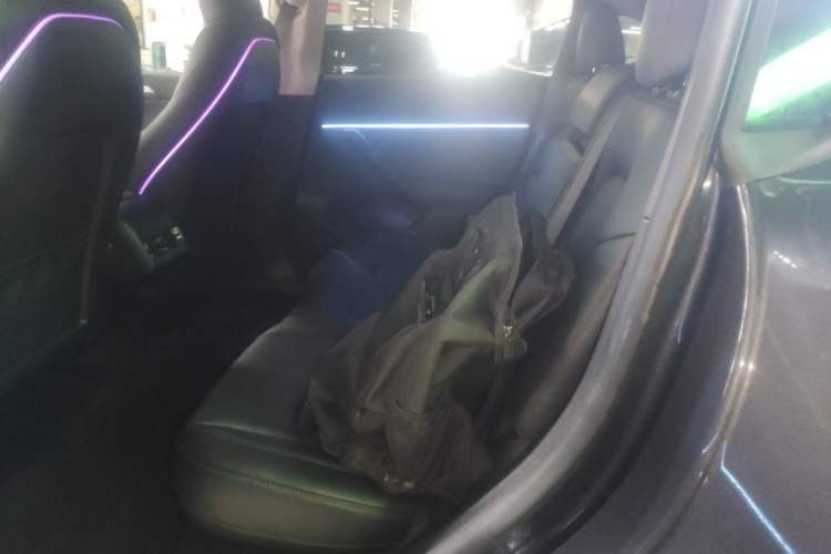Used Tesla Model Y 2024 Rear-Wheel-Drive Version Left Rear Seat