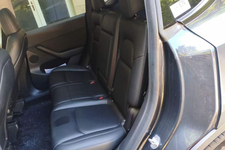 Used Tesla Model Y 2024 Long-Range All-Wheel-Drive Version Left Rear Seat