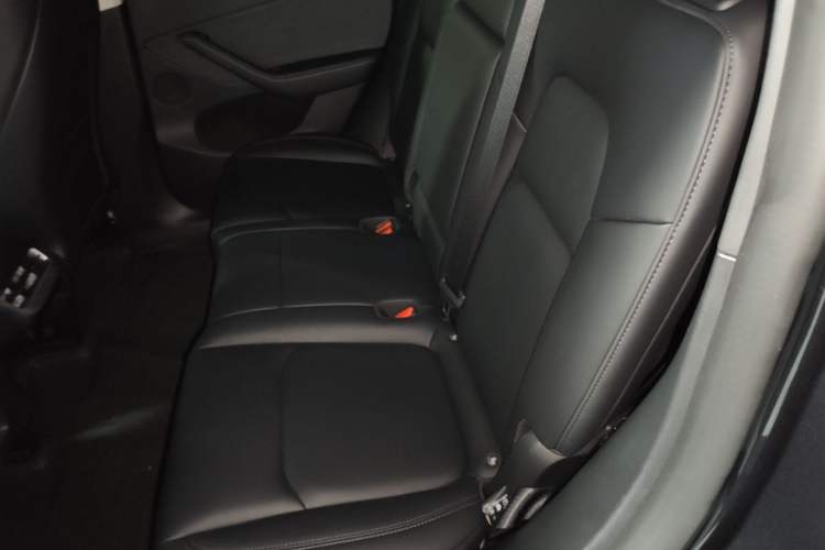 Used Tesla Model Y 2024 Rear-Wheel-Drive Version Left Rear Seat