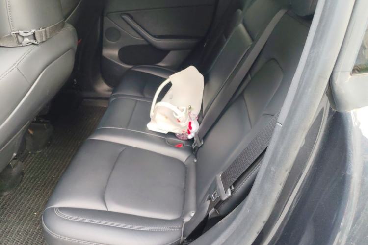 Used Tesla Model Y 2024 Rear-Wheel-Drive Version Left Rear Seat
