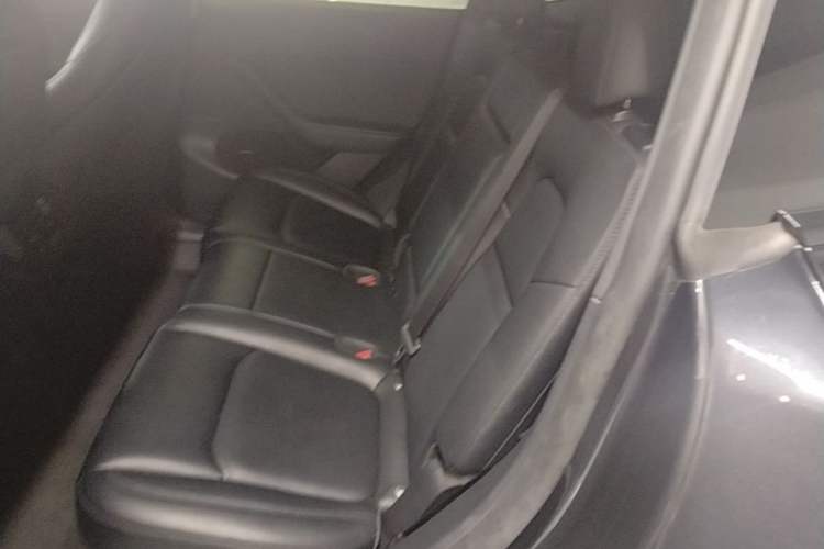 Used Tesla Model Y 2024 Rear-Wheel-Drive Version Left Rear Seat