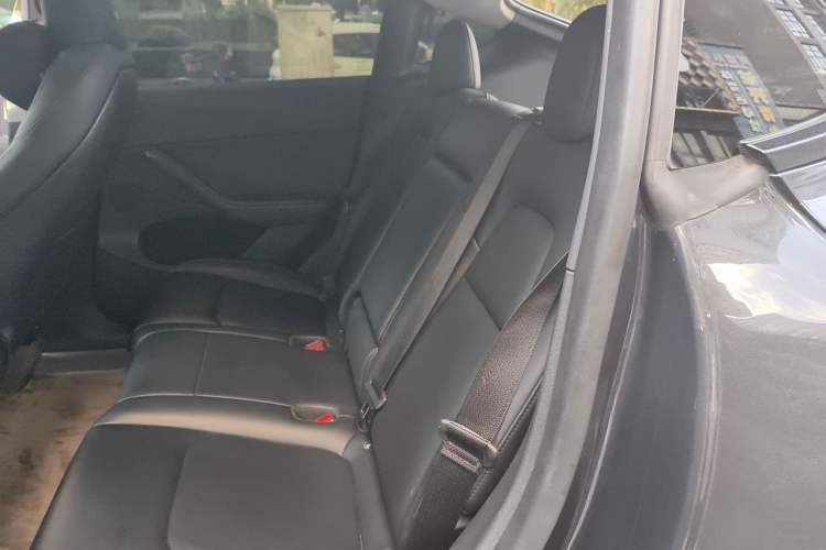 Used Tesla Model Y 2024 Long-Range All-Wheel-Drive Version Left Rear Seat