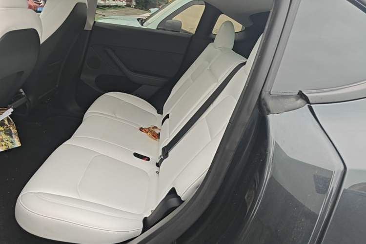 Used Tesla Model Y 2024 Rear-Wheel-Drive Version Left Rear Seat