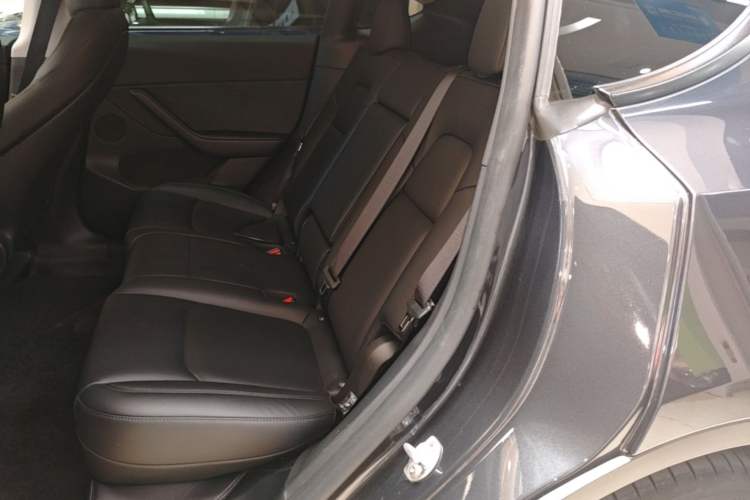 Used Tesla Model Y 2024 Long-Range All-Wheel-Drive Version Left Rear Seat