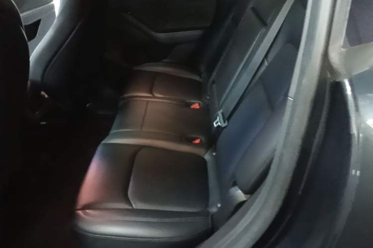 Used Tesla Model Y 2024 Rear-Wheel-Drive Version Left Rear Seat