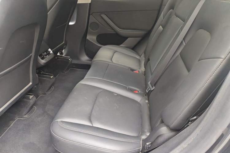 Used Tesla Model Y 2024 Rear-Wheel-Drive Version Left Rear Seat
