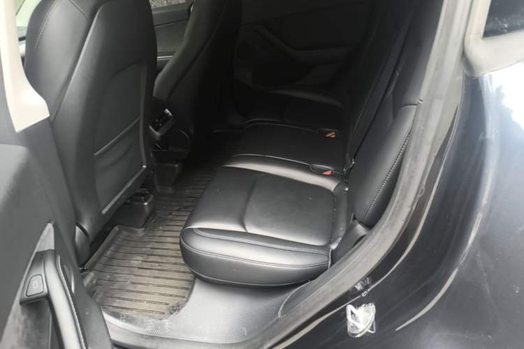 Used Tesla Model Y 2024 Rear-Wheel-Drive Version Left Rear Seat
